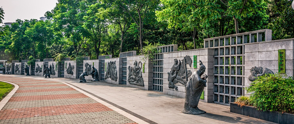 Nettoyage mur de clôture